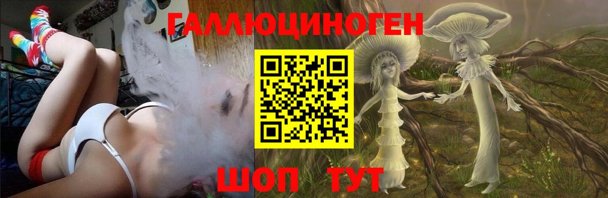 Аргун  Псилоцибиновые грибы Psilocybe  Вход с VPN 